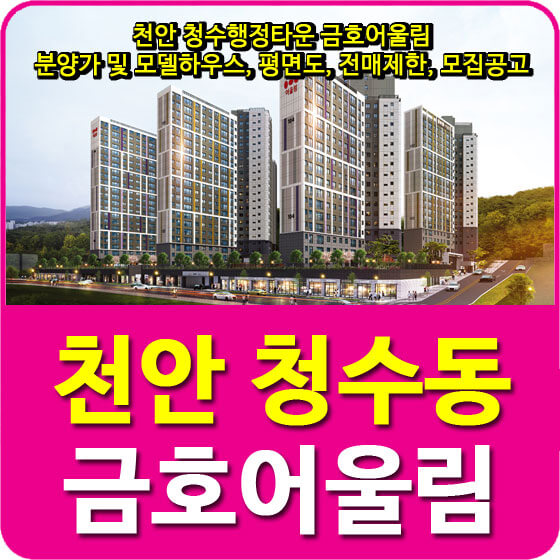  천안 청수행정타운 금호어울림 분양가 및 모델하우스, 평면도, 전매제한, 모집공고 안내