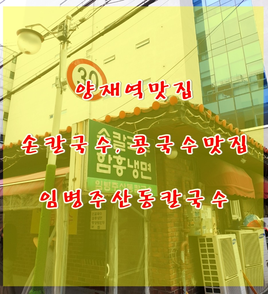  양재역맛집 "임병주산동칼국수" 칼국수 맛집 콩국수 맛집 서울인생맛집 서초동맛집 크림콩국수 손만두 추천 서울데이트추천
