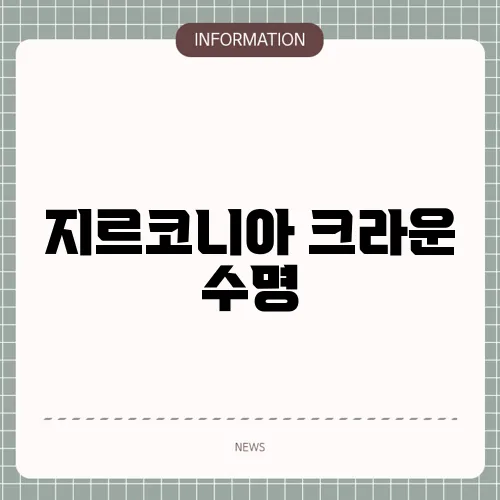 지르코니아 크라운 수명
