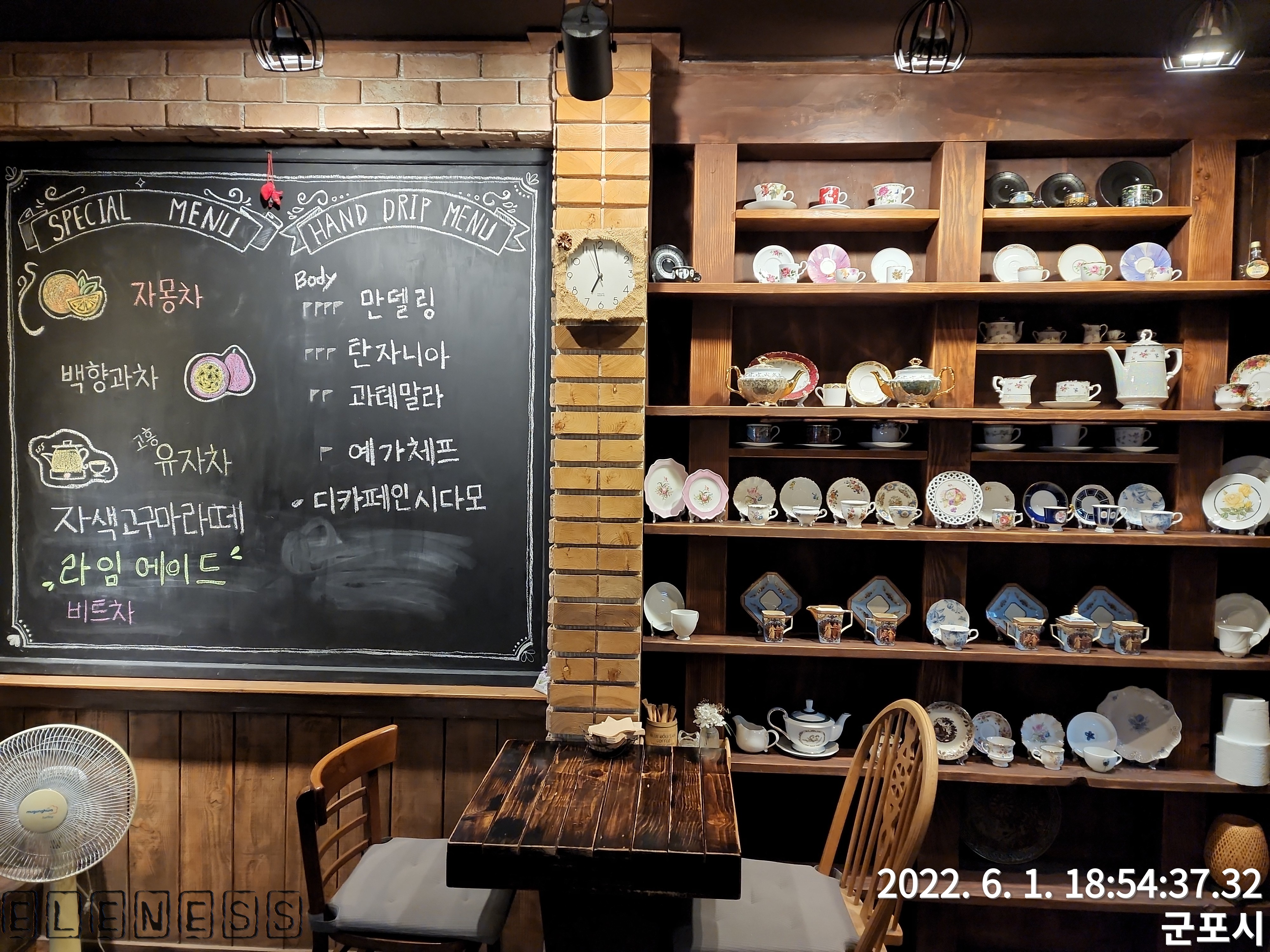 소렐라 이미지