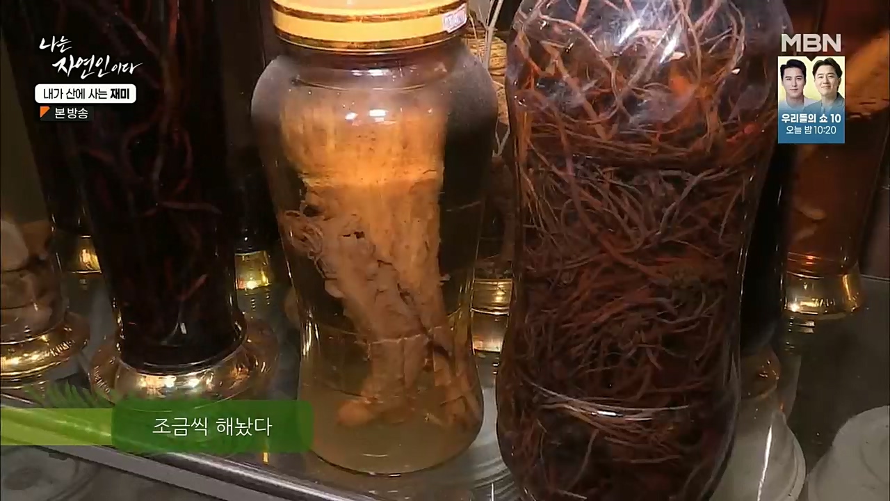 나는 자연인이다.E529.221124p.H264-F1RST.mp4_20221124_194720.649.jpg