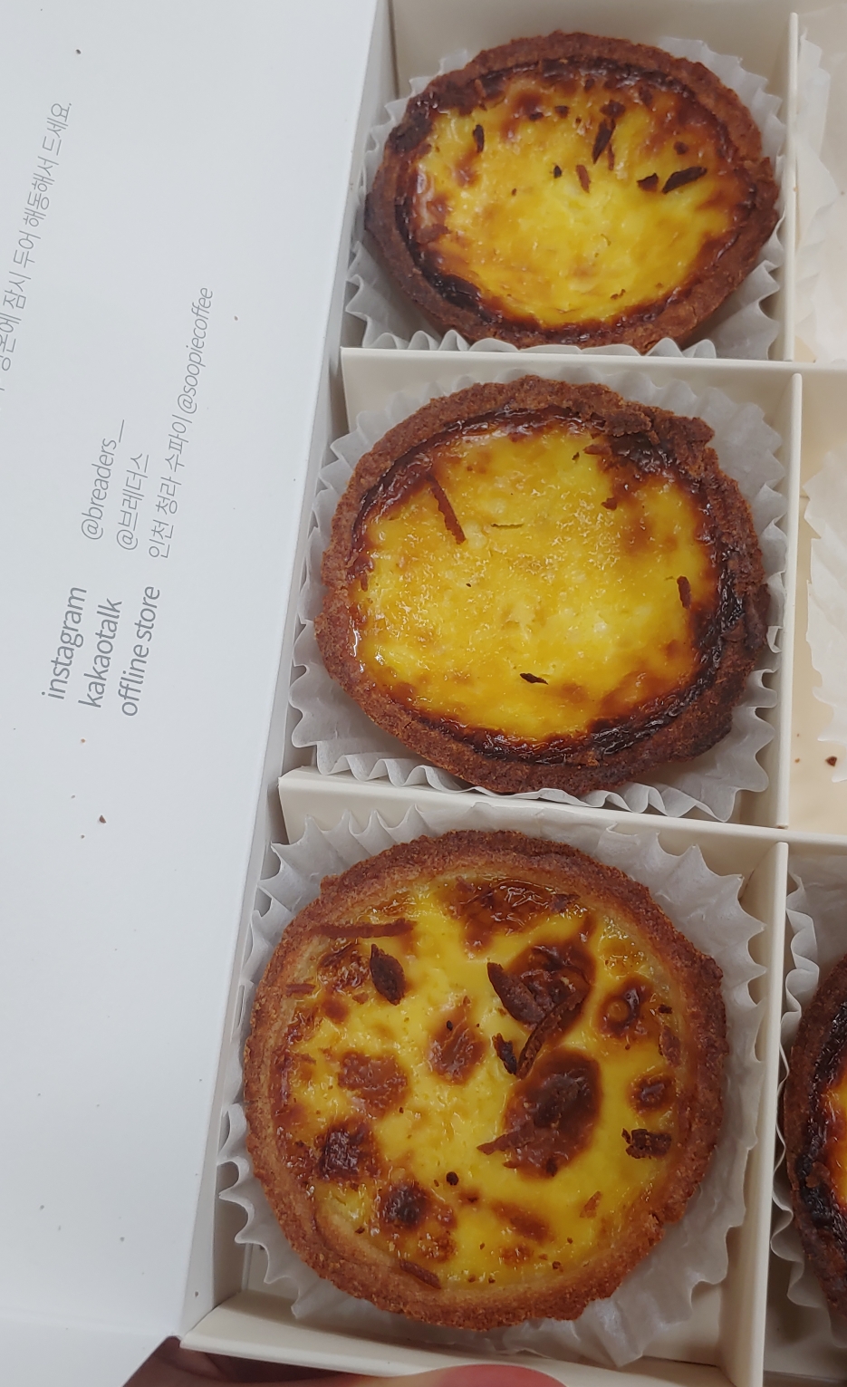 브레더스 이미지