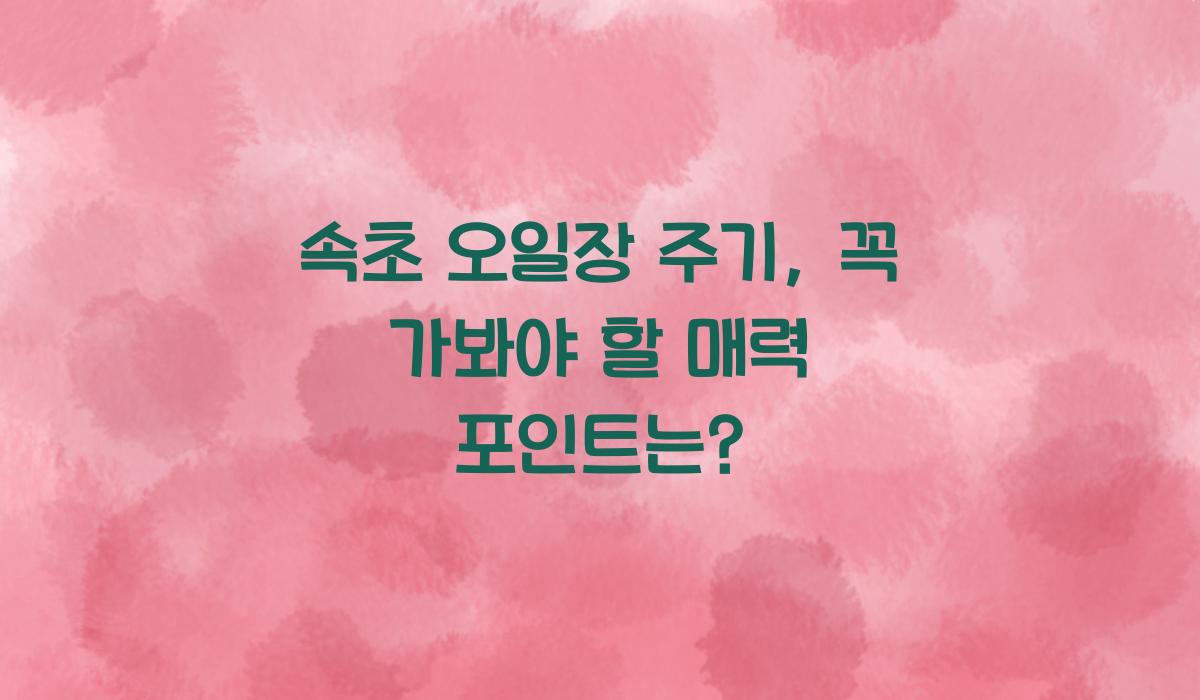 속초 오일장 주기