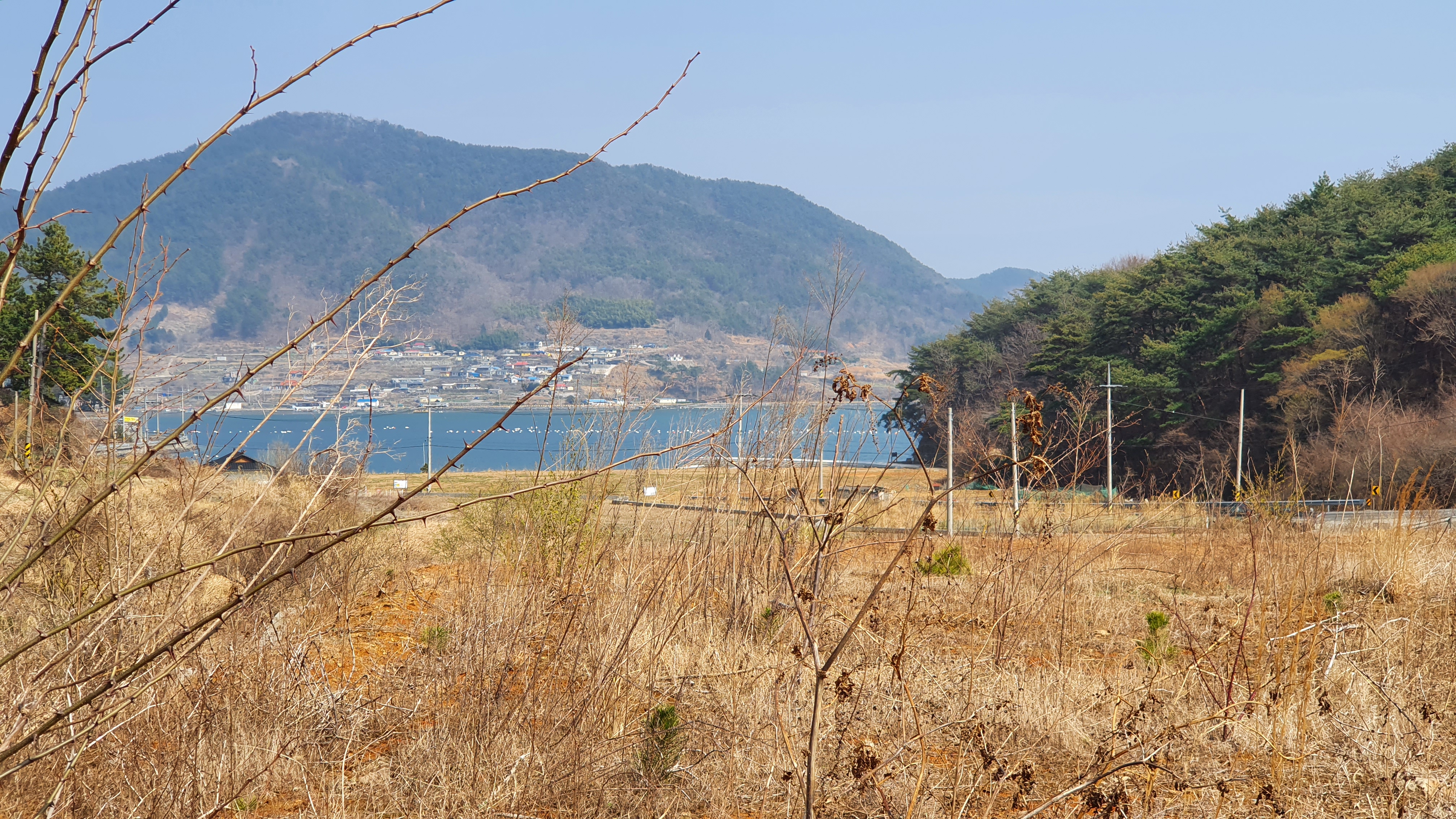  (땅나라 438번) 창원 - 고성간, 바닷가뷰가 있는 국도변 계획관리 토지 872평 매매 / 문의 055)253-6609
