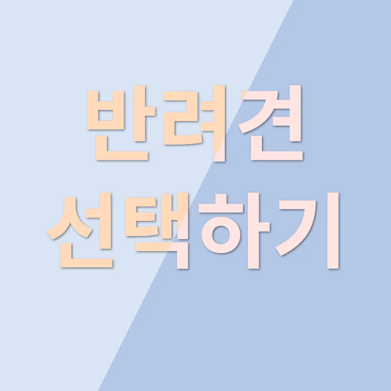 반려견 입양_3