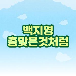 백지영 총맞은것처럼