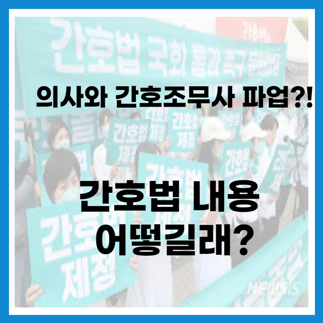 간호법-내용