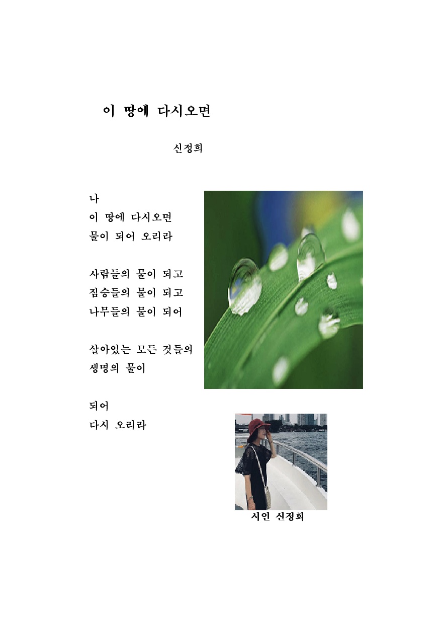  시인 신정희 의 '이 땅에 다시오면'
