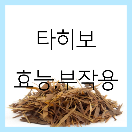 타히보 효능 부작용 썸네일