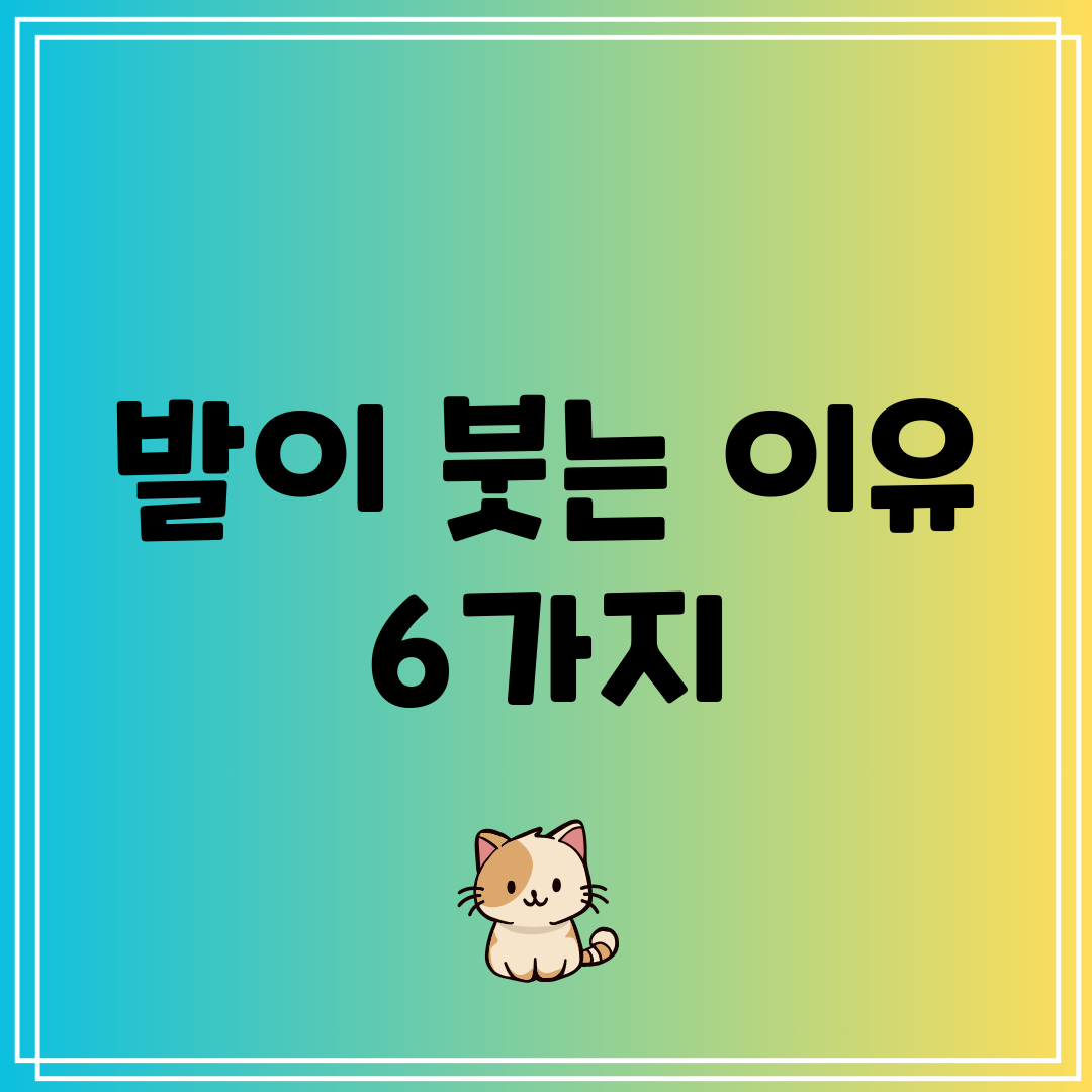 발이 붓는 이유 6가지