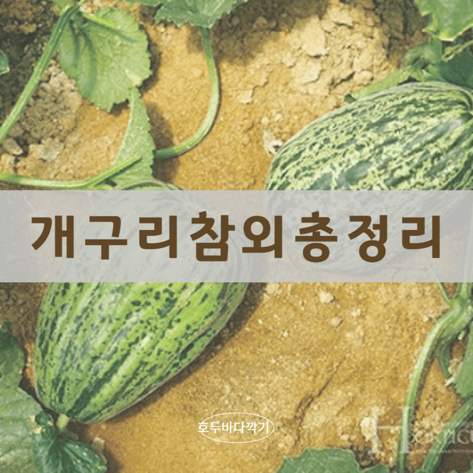 개구리-참외-효능에-대한-사진