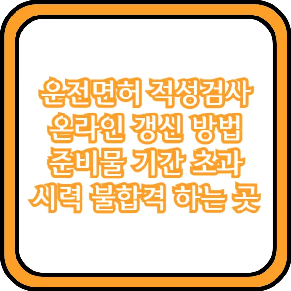  운전면허 적성검사 온라인 갱신 방법 준비물 기간 초과 시력 불합격 하는 곳