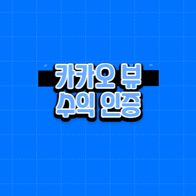 카카오 뷰 12월 수익