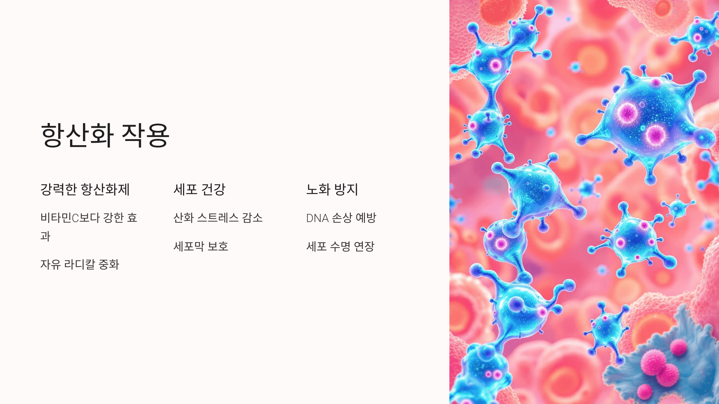 식물성 멜라토닌과 관련된 사진입니다.
