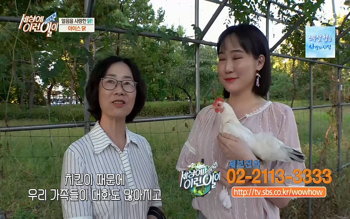 순간포착 세상에 이런일이.E1200.221005p-NEXT.mp4_20221005_201431.946.jpg