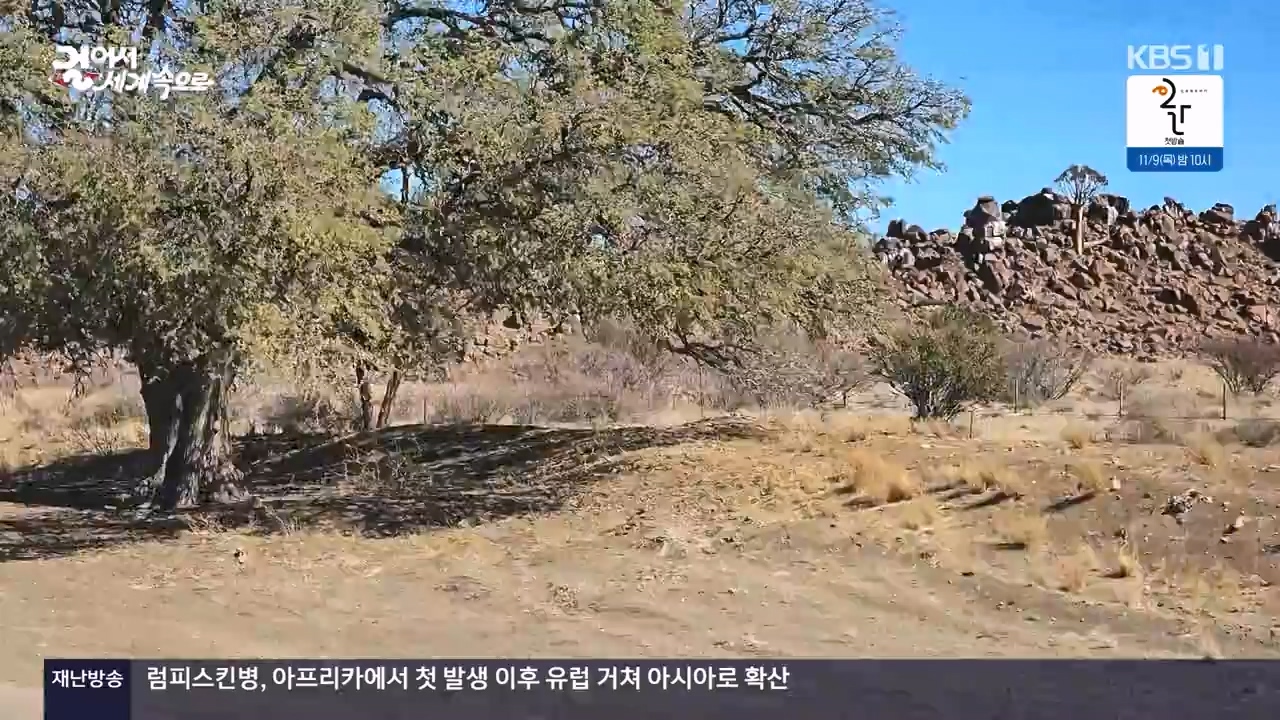 걸어서 세계속으로.E816.231105p-NEXT.mp4_20231104_175450.264.jpg