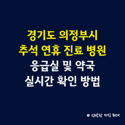 경기도 의정부시 추석 연휴 진료 병원 안내, 응급실 및 약국 실시간 확인 방법