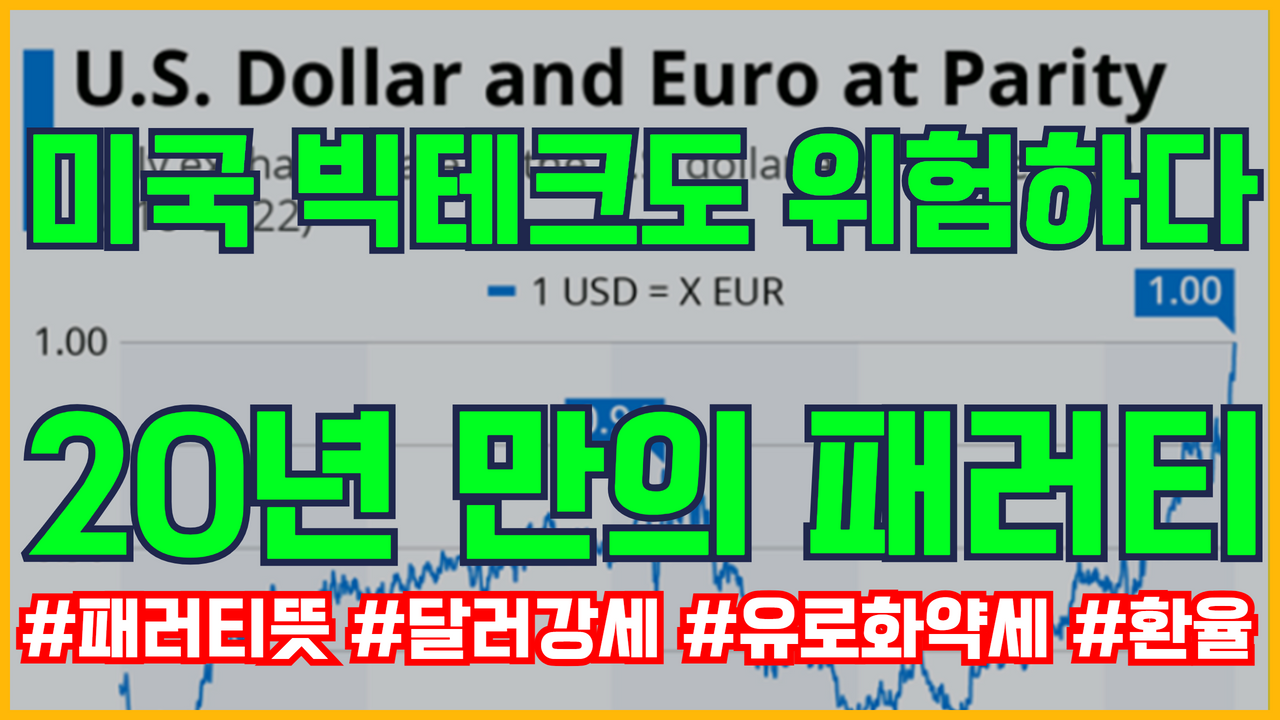  유로 달러 20년 만의 패러티 분석 | 달러강세 , 유로화약세 , 원화약세 , 원달러환율
