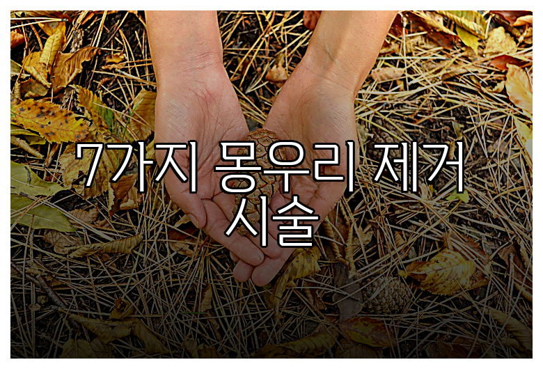 7가지 몽우리 제거 시술