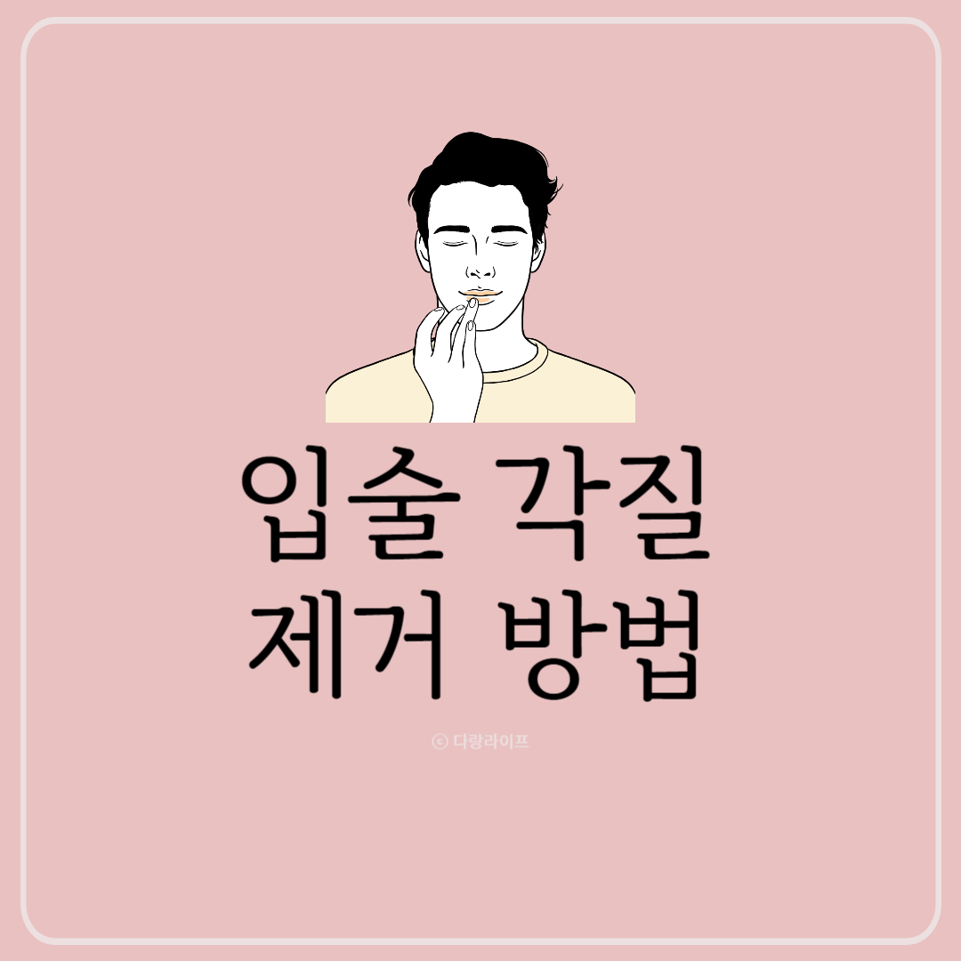 입술각질제거방법 입술각질