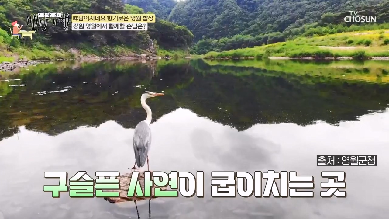 식객 허영만의 백반기행.E236.240224p-NEXT.mp4_20240224_162959.281.jpg