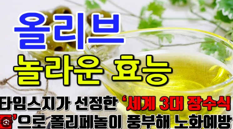 올리브 오일