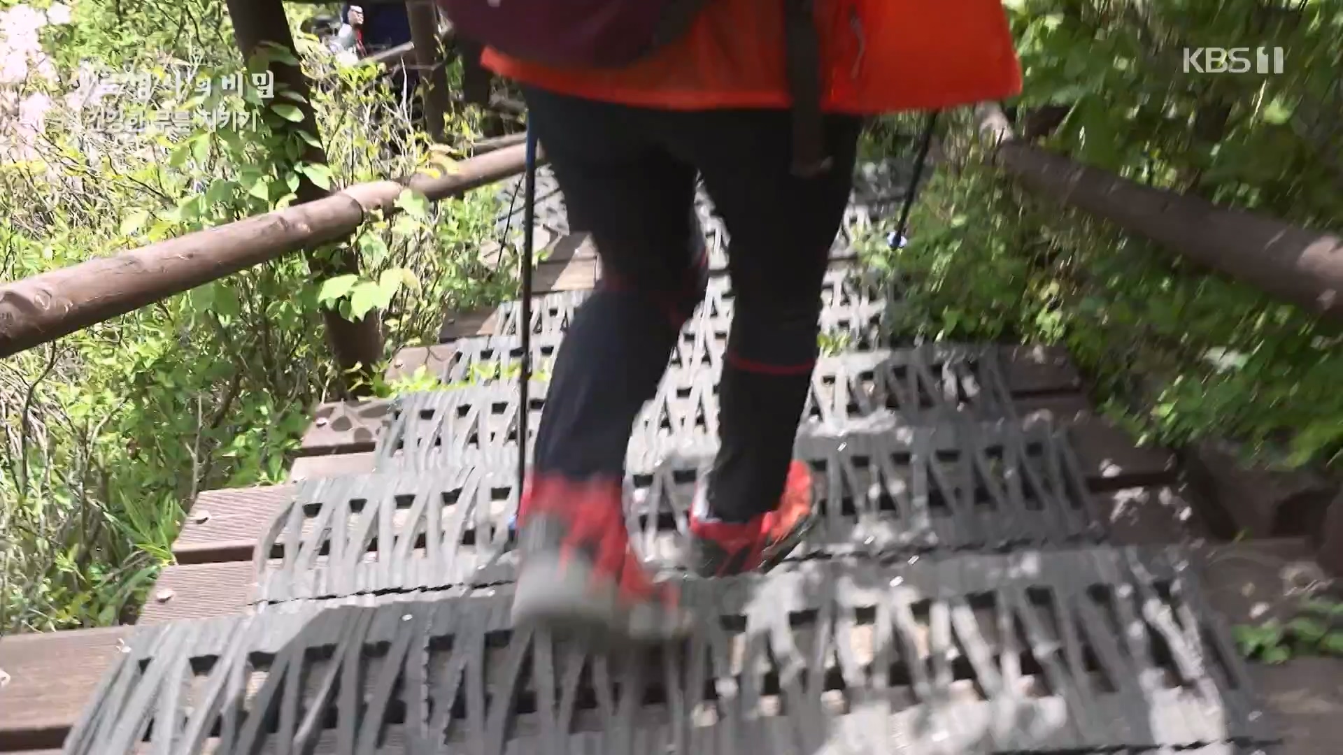생로병사의 비밀.E873.230607p-NEXT.mp4_20230608_202204.425.jpg