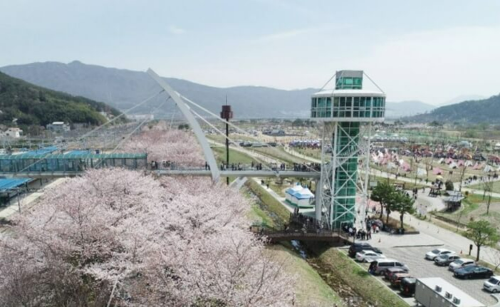 2025-물금벚꽃축제