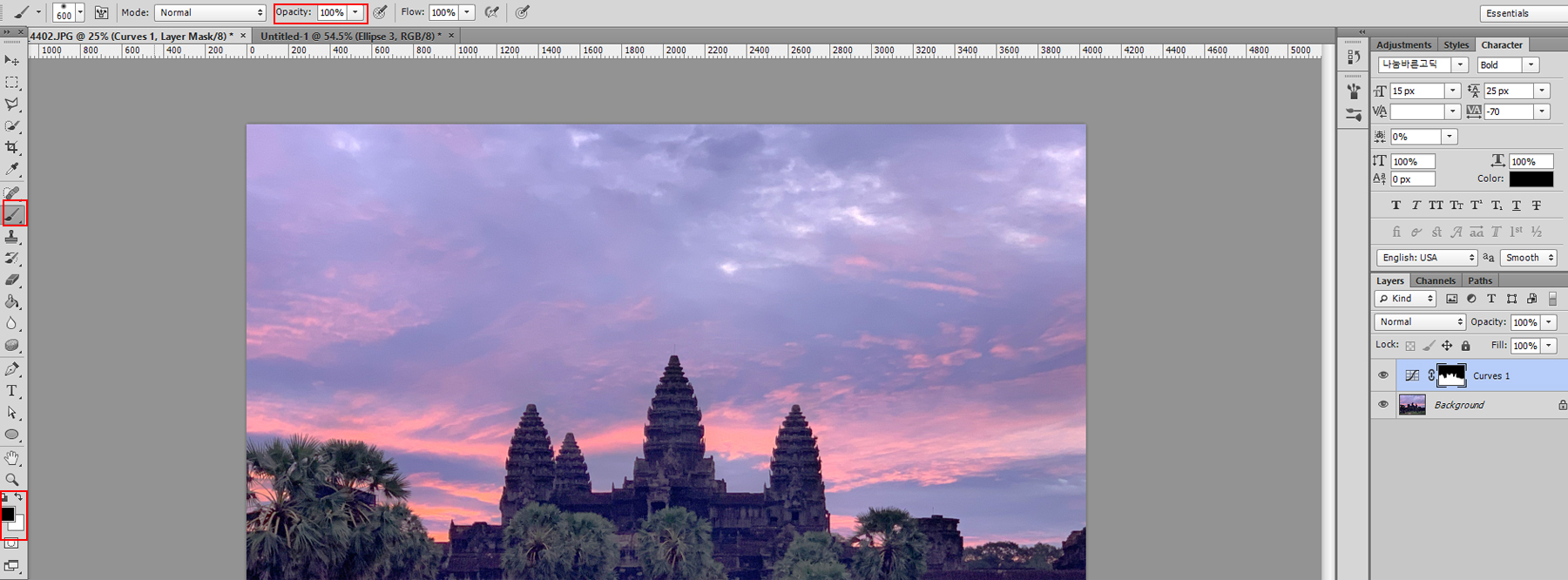 조정레이어보정