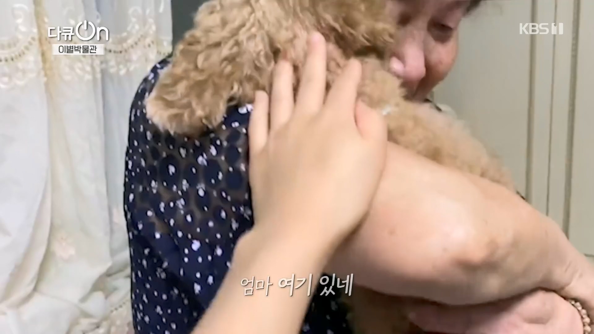 다큐 On.E242.240309p.H264-F1RST.mp4_20240310_144504.686.jpg