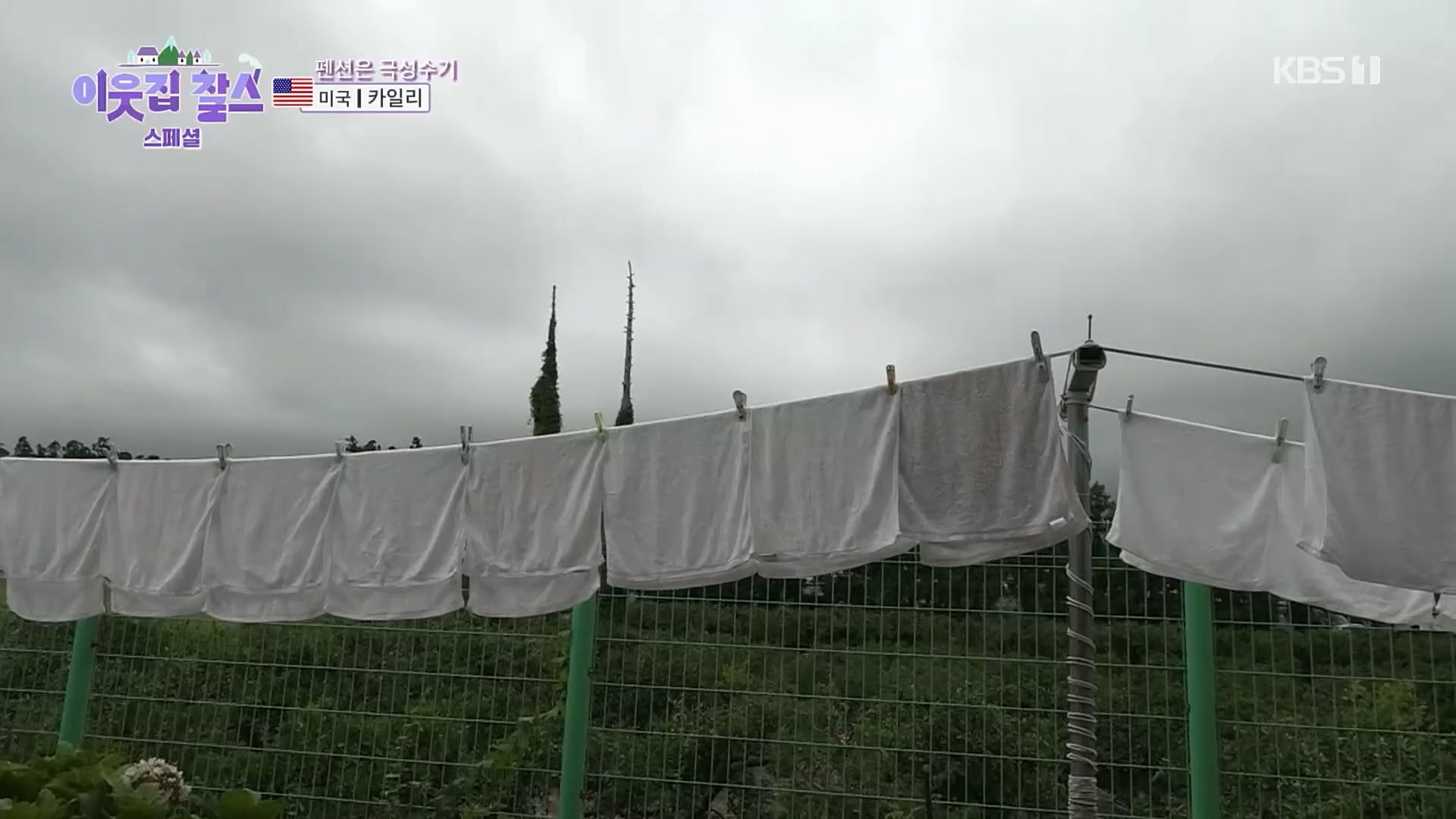 이웃집 찰스.E378.230307p.H264-F1RST.mp4_20230308_202233.216.jpg
