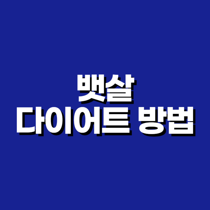 뱃살 다이어트 방법