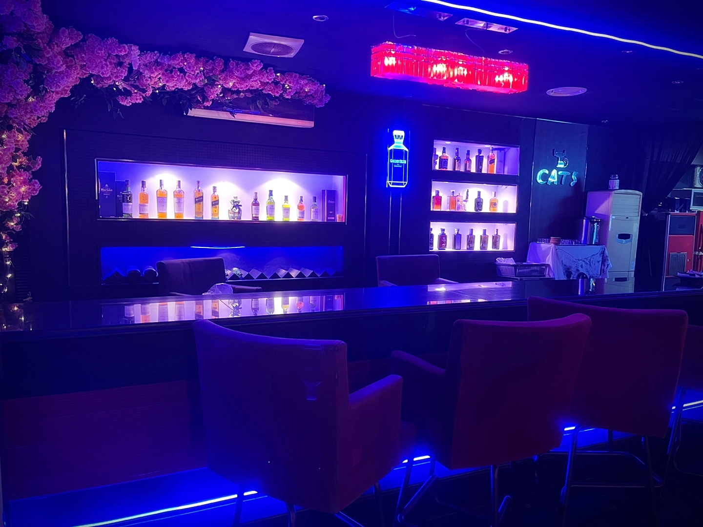 통영 무전동 바 캣츠 (CATS BAR) | 무전동 모던바 토킹바 혼술