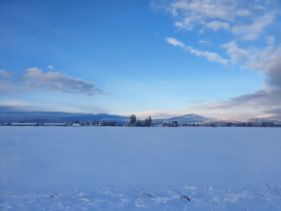 rv RV 카라반 끌고 미국 33