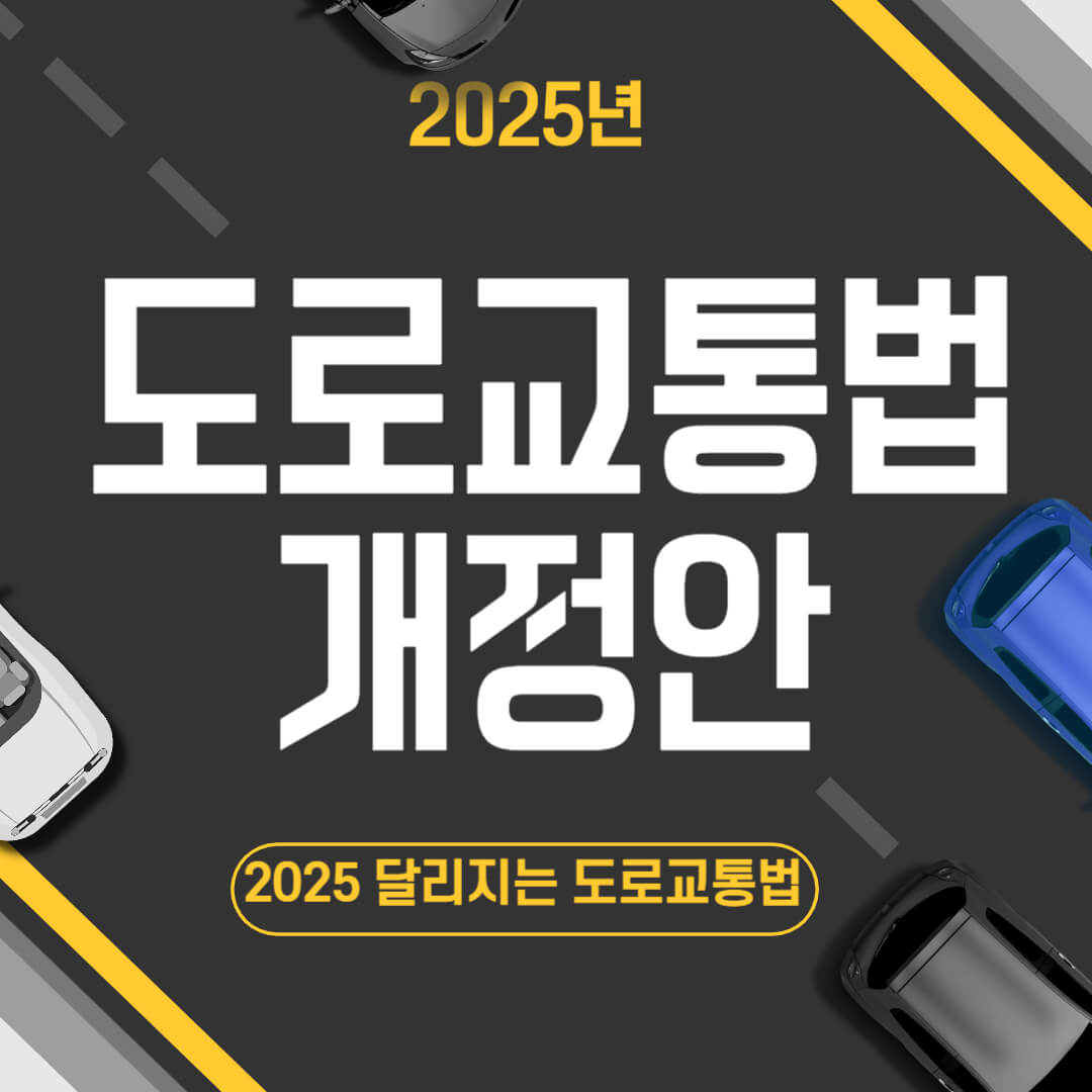 2025 신호위반 범칙금 및 과태료