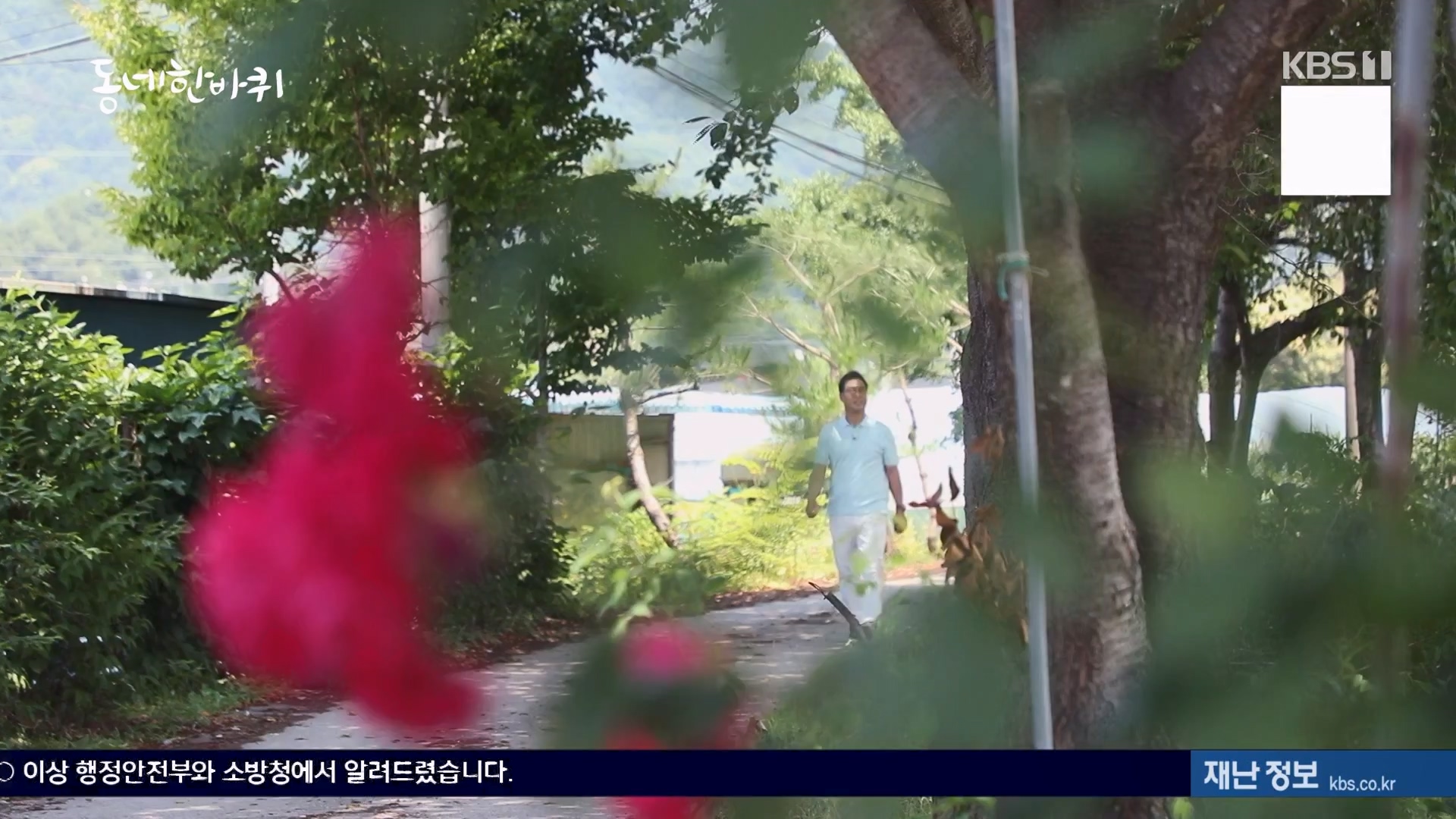 동네 한 바퀴.E282.240713p-NEXT.mp4_20240714_162913.339.jpg