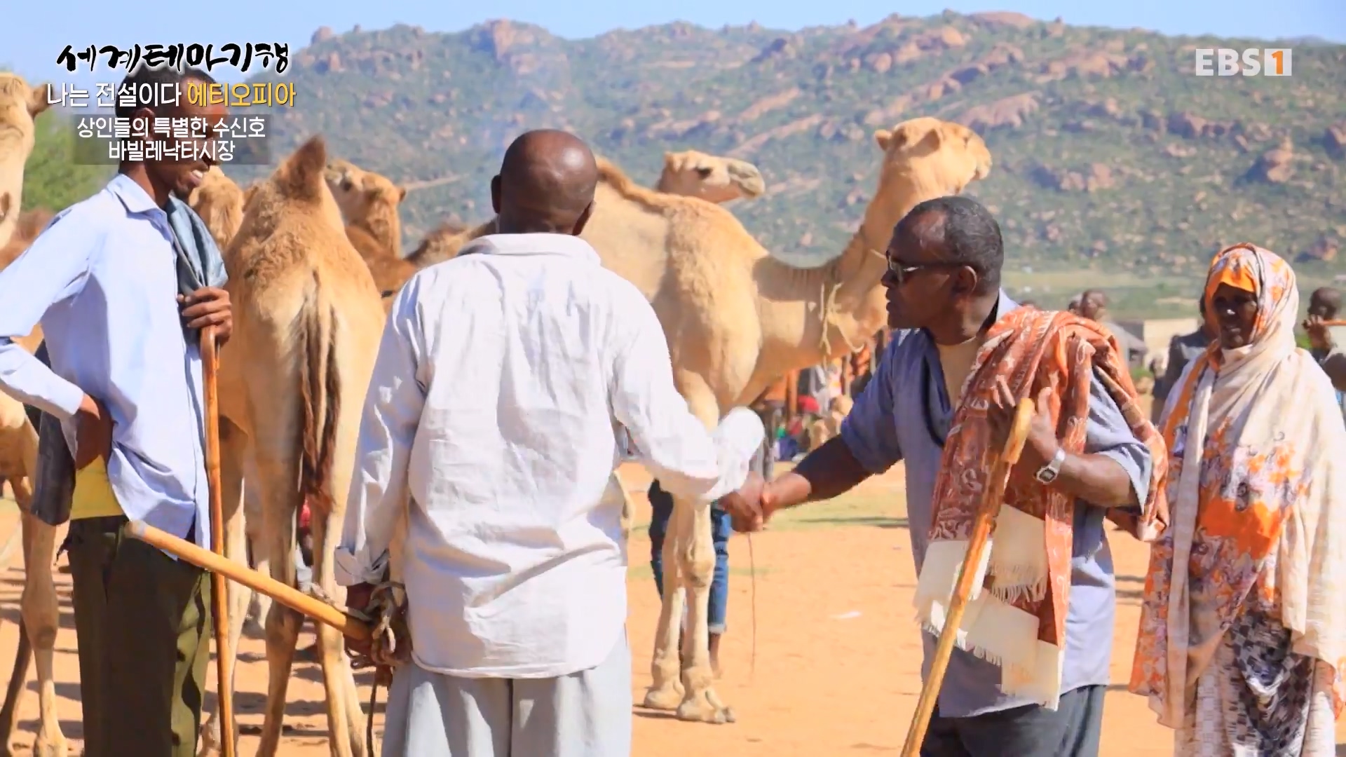 세계테마기행 240116 나는 전설이다 에티오피아 -골목의 전설, 하라르0p.mp4_20240713_174146.767.jpg