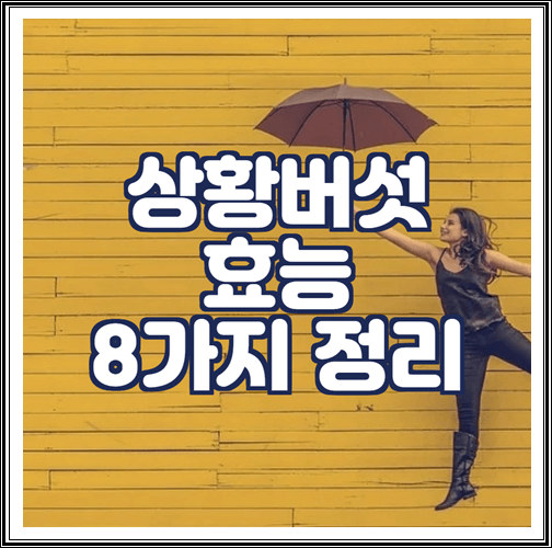  상황버섯 효능 8가지 정리