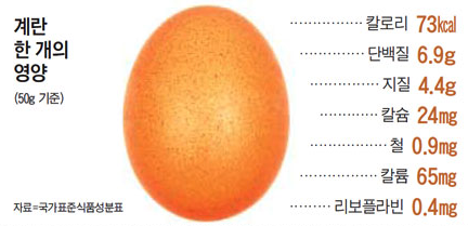계란 1개의 영양. 단백질 6.9g을 포함하고 있다.