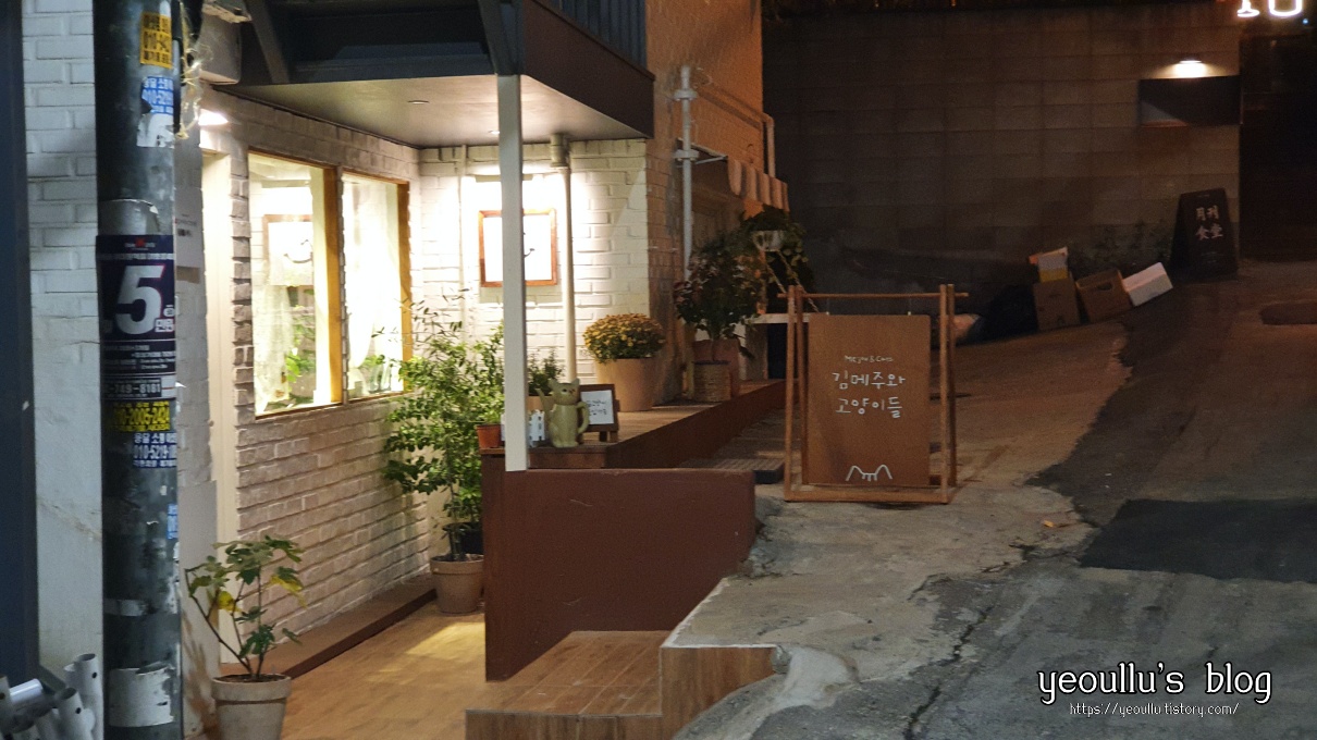 김메주와고양이들 카페, 또 한번의 고양이 덕질