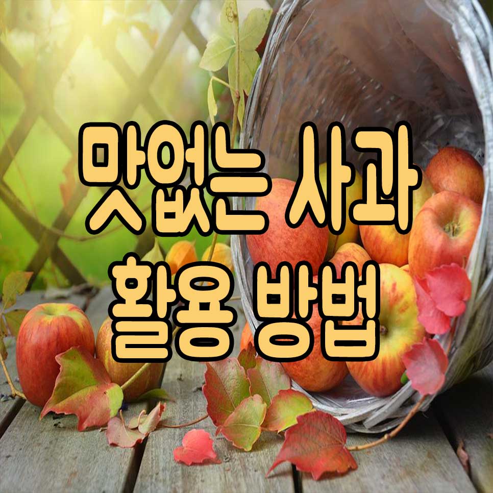  맛없는 사과 활용법 배 귤 참외 한꺼번에