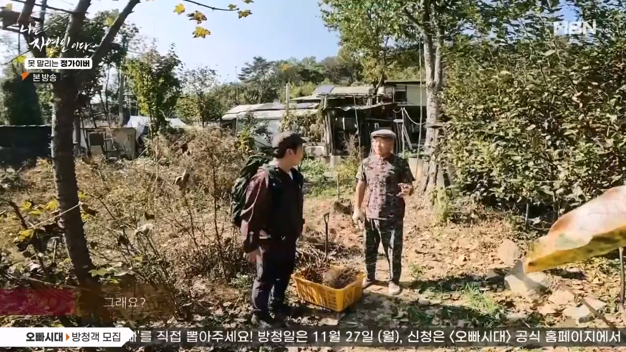 나는 자연인이다.E580.231116p-NEXT.mp4_20231116_202459.295.jpg