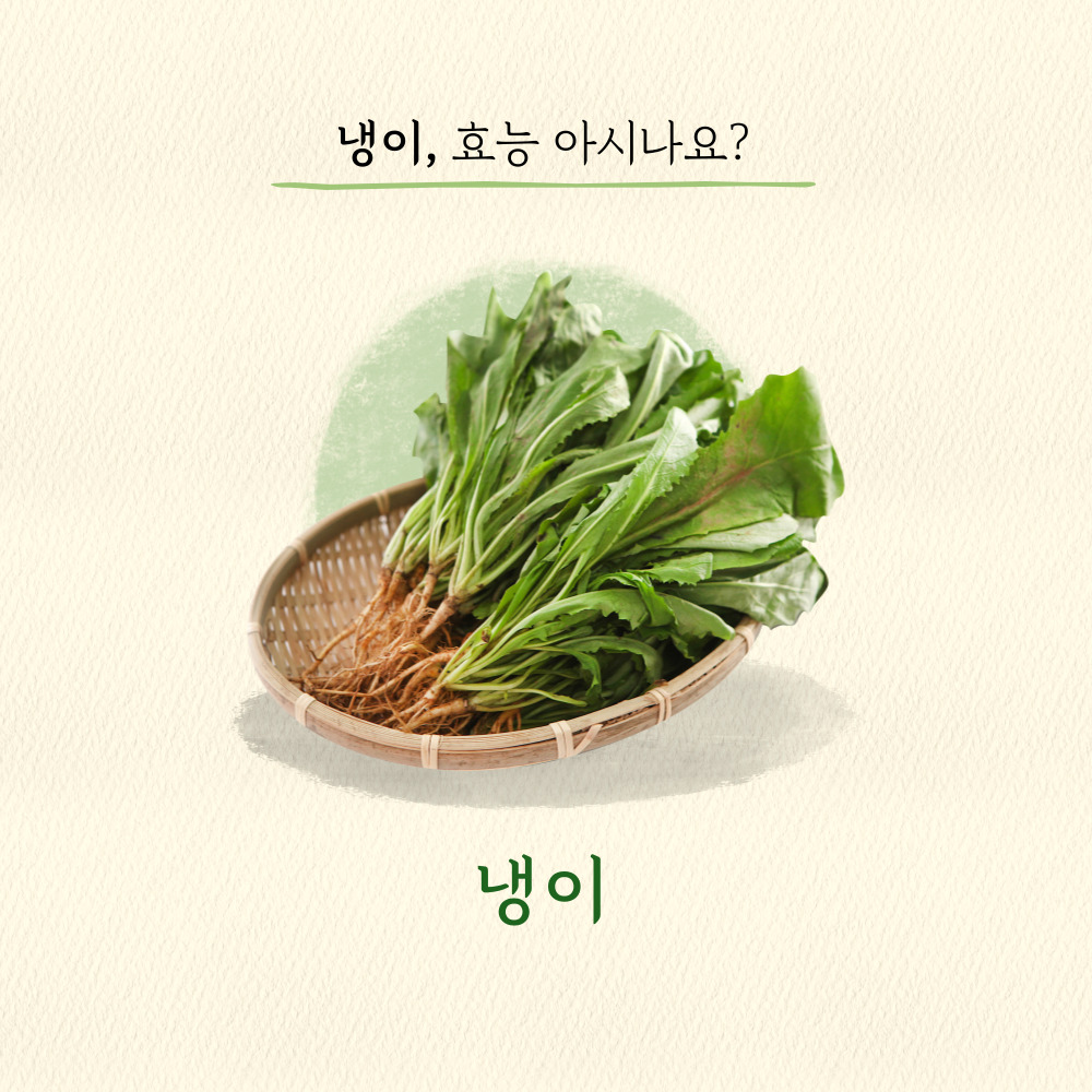 냉이의효능