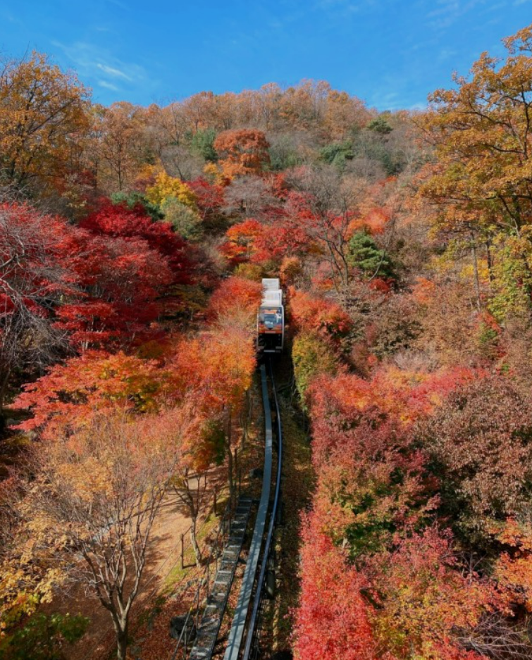 가을날의 여행 &#39;화담숲&#39; 모노레일