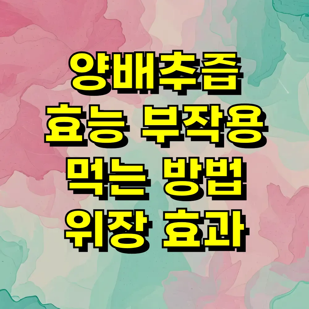 양배추즙 효능 부작용 먹는 방법 위장 효과