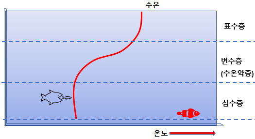 성층현상