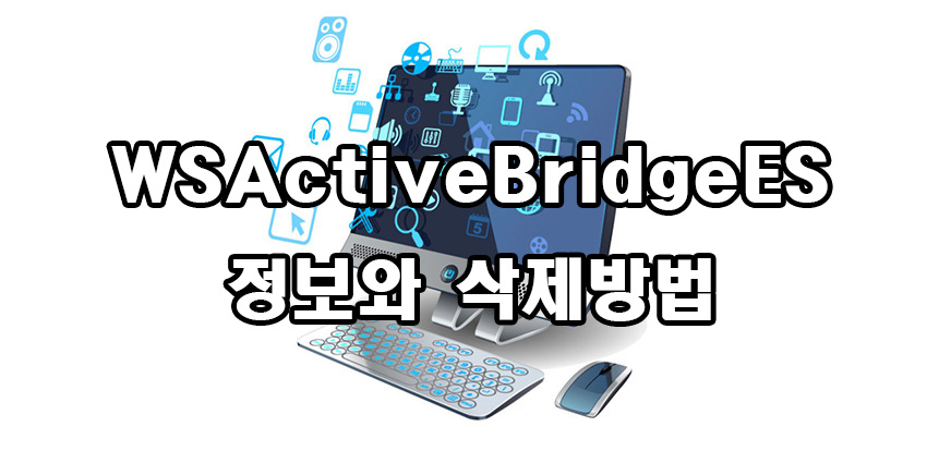  WSActiveBridgeES 정보와 삭제 방법