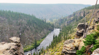 Lewis River