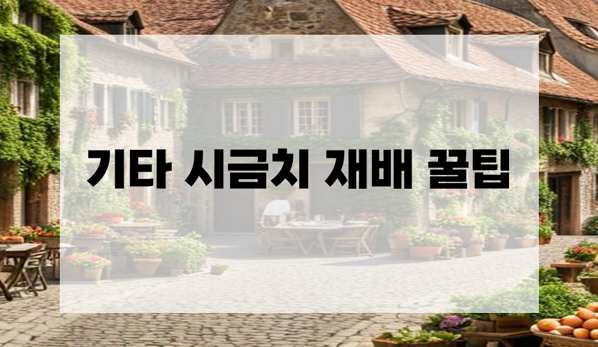 기타 시금치 재배 꿀팁