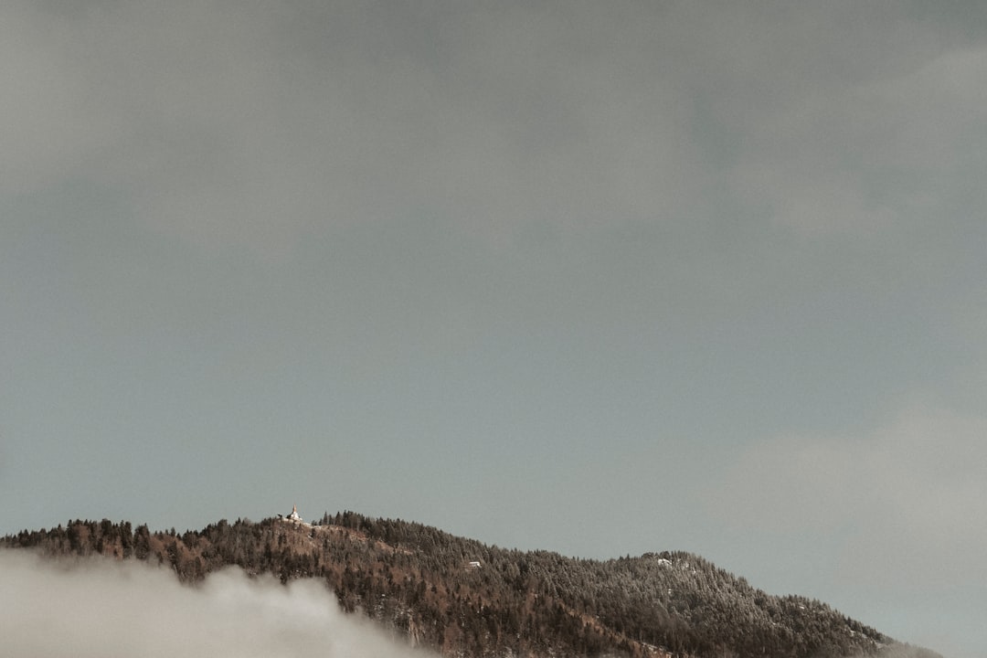 ECU